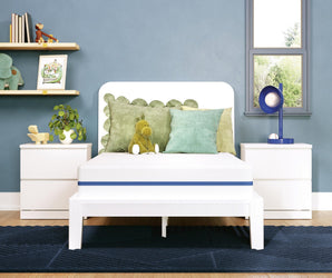 Sierra Sleep Nectar Foam Kids Mattress