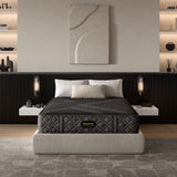 Beautyrest - Mattress Overstock | Mattress Store | Kentucky - Beautyrest Black® Series One 13.25" Plush Hybrid Mattress