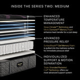 Beautyrest - Mattress Overstock | Mattress Store | Kentucky - Beautyrest Black® Series Two 15.5" Medium Mattress